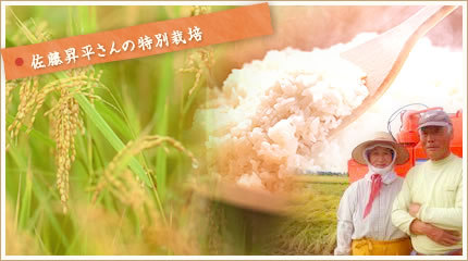 佐藤昇平さんの特別栽培