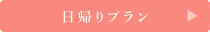 日帰りプラン
