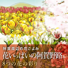 阿賀周辺の花ごよみ 花いっぱいの阿賀野路 8つの花の彩り